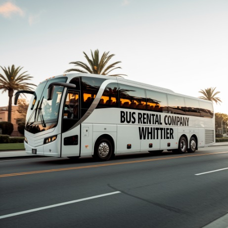 56 passenger motorcoach